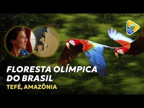 FLORESTA OLÍMPICA DO BRASIL, EM TEFÉ, POR NICOLE SILVEIRA | MINIDOCUMENTÁRIO
